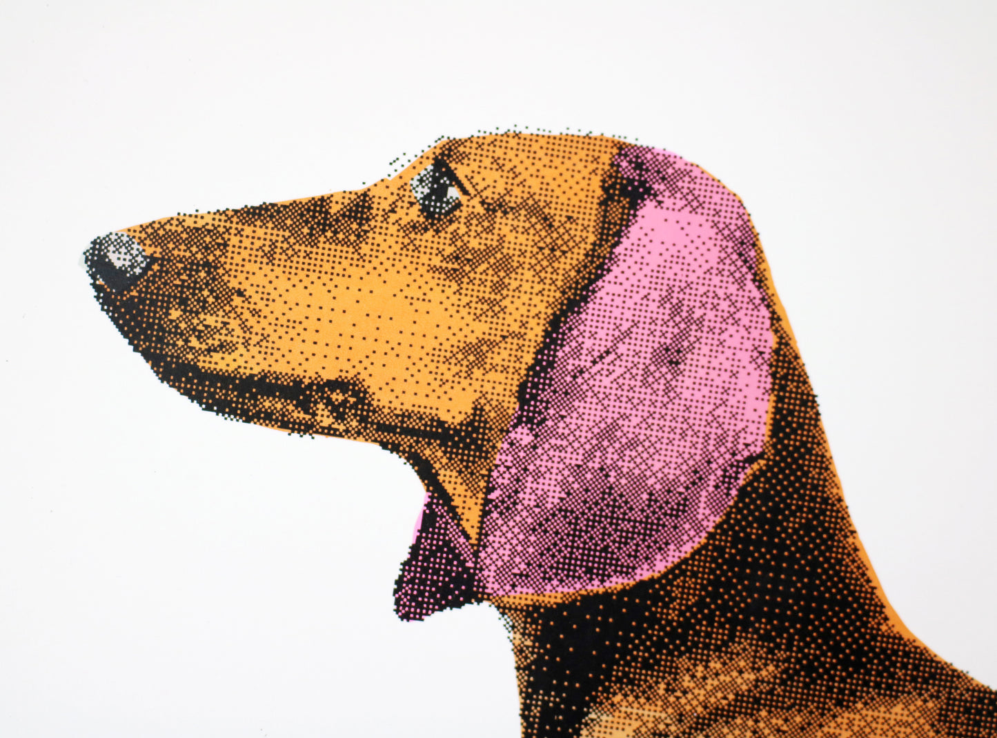 Dachshund Artist's Proof screen print - Green Feet by Charlotte Gerrard