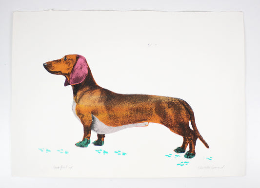 Artist's Proof screen print of a Dachshund called Green Feet by Charlotte Gerrard